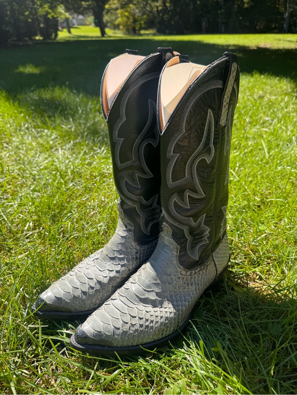 Anderson Bean men’s 9 wide snakeskin cowboy boots